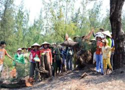 Bình Định: Dân "gác" rừng phòng hộ, chặn doanh nghiệp khai thác titan