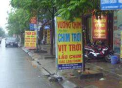 Hỗn chiến tại quán đặc sản chim trời, 2 người trọng thương