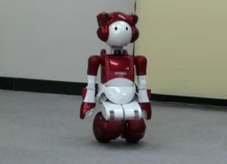 Robot giúp tìm đồ vật đã mất