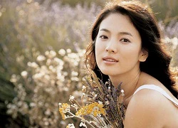 Song Hye Kyo đi chăm sóc cún