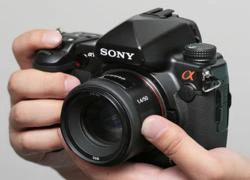 Sony sẽ tập trung vào DSLT thay cho DSLR