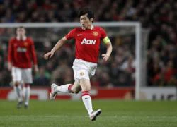 Vì Park Ji-sung, loài ếch có thể bị... tuyệt chủng