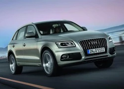 Audi Q5 2013 có tùy chọn động cơ hybrid