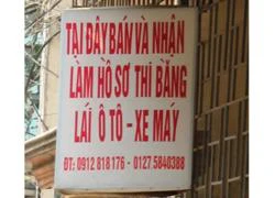 Dịch vụ mua bán bằng ô tô, xe máy