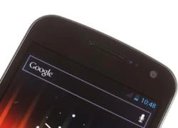 Galaxy Nexus lỗi mất sóng khi lên Android 4.0.4