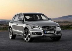 Hình ảnh đầu tiên của Audi Q5 2013