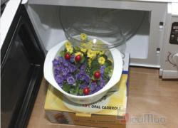 Nồi Opal Casserole Nấu Lò Vi Sóng 1L giá chỉ 75.000đ, tiện lợi, chịu nhiệt cao, chất lượng cùng màu sắc bóng sáng và bắt mắt.