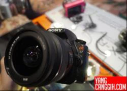 Thêm ảnh Sony NEX-F3 và A37 xuất hiện