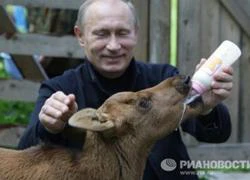 10 nghề của Tổng thống Putin