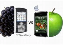 Blackberry và iPhone: &#8220;Dế&#8221; nào bảo mật hơn?