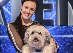 Chú chó tài năng vô địch Britain's Got Talent