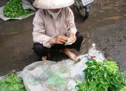 Con tăng phí ăn học, bố mẹ thêm lao đao