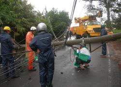 Đà Lạt: Thông, trụ điện gãy đổ chặn đường lên LangBiang