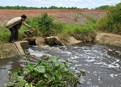 Giải quyết đền bù thiệt hại vụ Sonadezi Long Thành