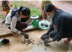 Miền Trung lại lên &quot;cơn sốt đỉa&quot;