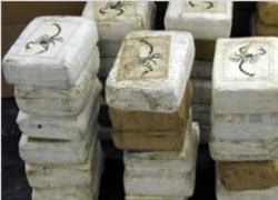 Một phụ nữ người Anh bị bắt vì buôn lậu cocaine vào Indonesia