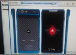 Motorola Razr thêm phiên bản màu xanh dương