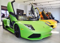 Ngất ngây với bộ sưu tập Lamborghini đủ màu sắc