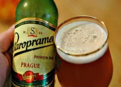 Staropramen - Bia số 1 từ thủ đô Paraha hoa lệ.