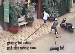 Thấy ghét là .. xử!