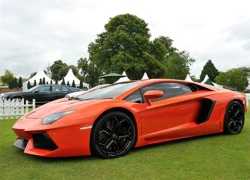 Có thể xuất hiện Lamborghini Aventador 4 chỗ