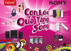 Đón Euro với Cơn lốc quà tặng Sony tại Á Đông Vi Na &#8211; kết thúc 11/08/2012