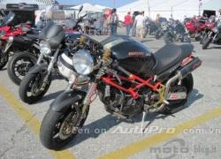 Gia đình Monster khoe sắc tại Tuần lễ Ducati 2012