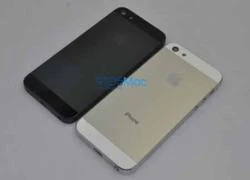 iPhone 5 và iPad mini sẽ cùng ra mắt vào tháng 9