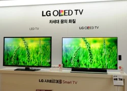 LG sẽ trình làng TV OLED 4K năm sau