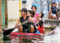 Philippines báo động đỏ với bão Guchol