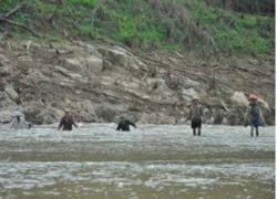 Quảng Nam: Đau đớn cảnh vô vọng mò xác con dưới sông