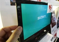 Sony và Panasonic bắt đầu sản xuất OLED từ 2013