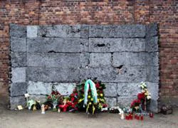 'Trại tử thần' Auschwitz - một thế giới khác của Euro