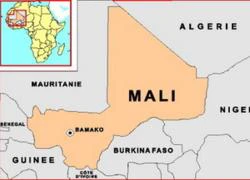 Tư lệnh ECOWAS họp bàn can thiệp quân sự Mali