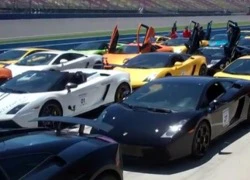 Video: Hàng trăm "siêu bò" tụ hội tại sự kiện Ultimate Lamborghini