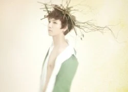 Yesung (SuJu) bị mọc cây trên đầu