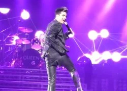 Adam Lambert bị rách quần vẫn không "nao núng"