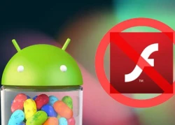 Adobe ngừng phát triển Flash Player từ Android 4.1