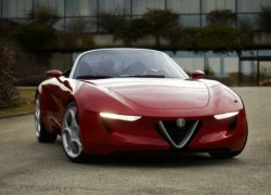 Alfa Romeo Spider "siêu mẫu" trên sàn diễn