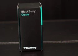 BlackBerry Curve 9220 giá 4,6 triệu