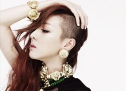 Dara (2NE1) khóc vì... cạo đầu