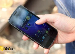 Galaxy Nexus sẽ trở lại kệ hàng của Google tuần sau