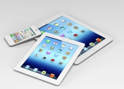 iPad Mini giá rẻ đang chuẩn bị trình làng