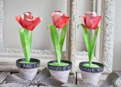 Làm hoa tulip giấy xinh xắn trang trí nhà mình