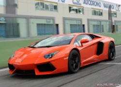 Lamborghini Aventador 2013 - "bò mọc thêm cánh"