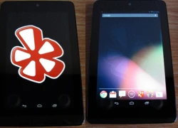 Nexus 7 bản dùng thử bị lỗi màn hình