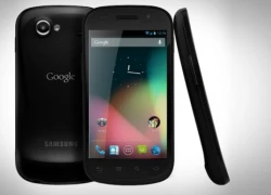 Nexus S chính thức lên Jelly Bean hôm nay