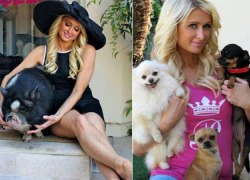 Những con vật nuôi của Paris Hilton