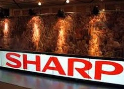 Sharp đạt thỏa thuận với Dell để dàn xếp kiện cáo