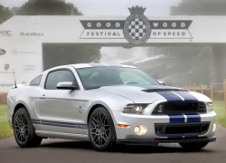 "Siêu xe cơ bắp" Shelby GT500 ghé thăm Goodwood